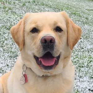 Fundraising Page: Ricky Yates